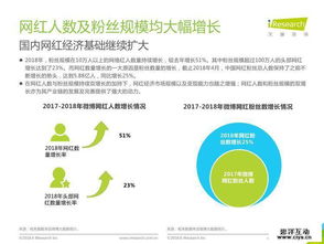 2018年中國網紅經濟發展研究報告 網絡技術開發與信息咨詢的驅動力量